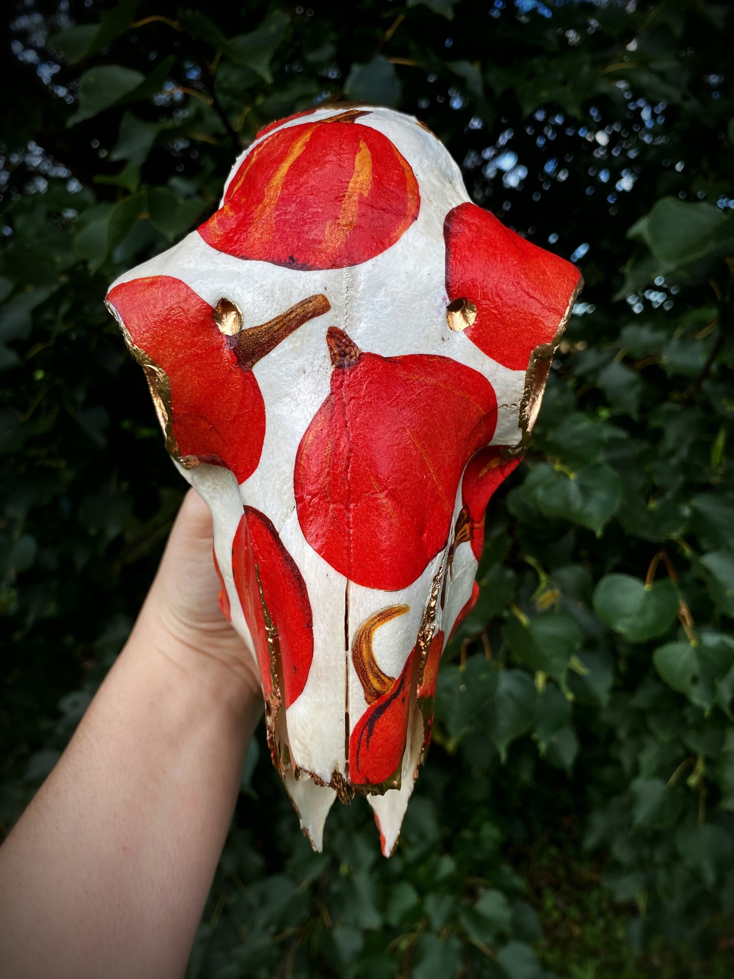 Red Kuri