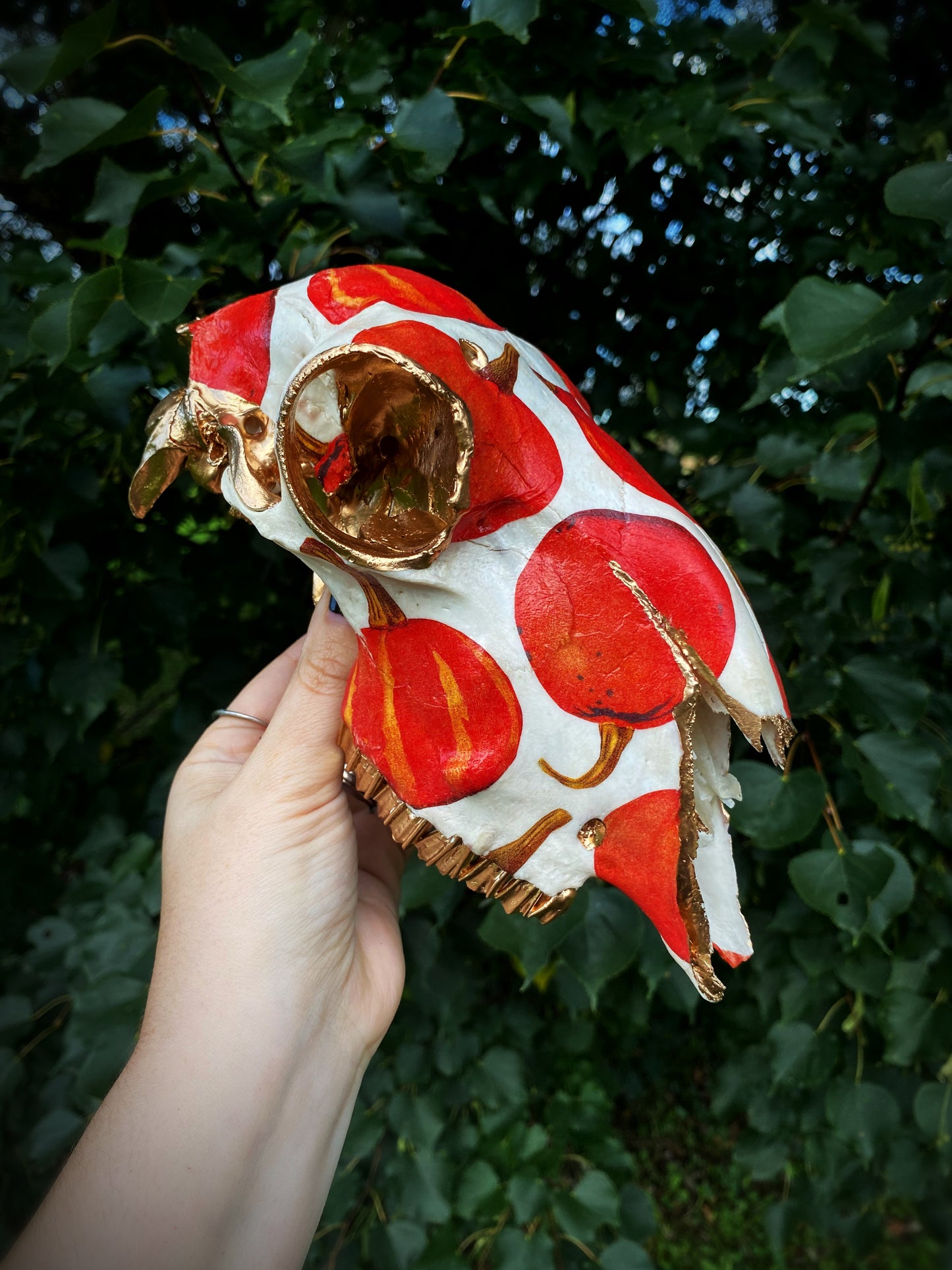Red Kuri