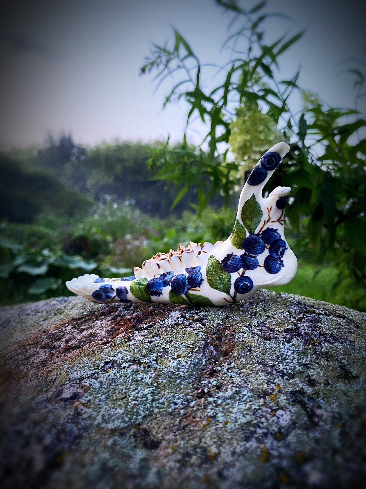 Blueberries