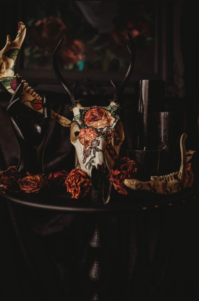 Luxurious ethically sourced skulls
