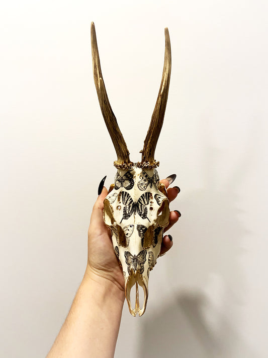 Entomology