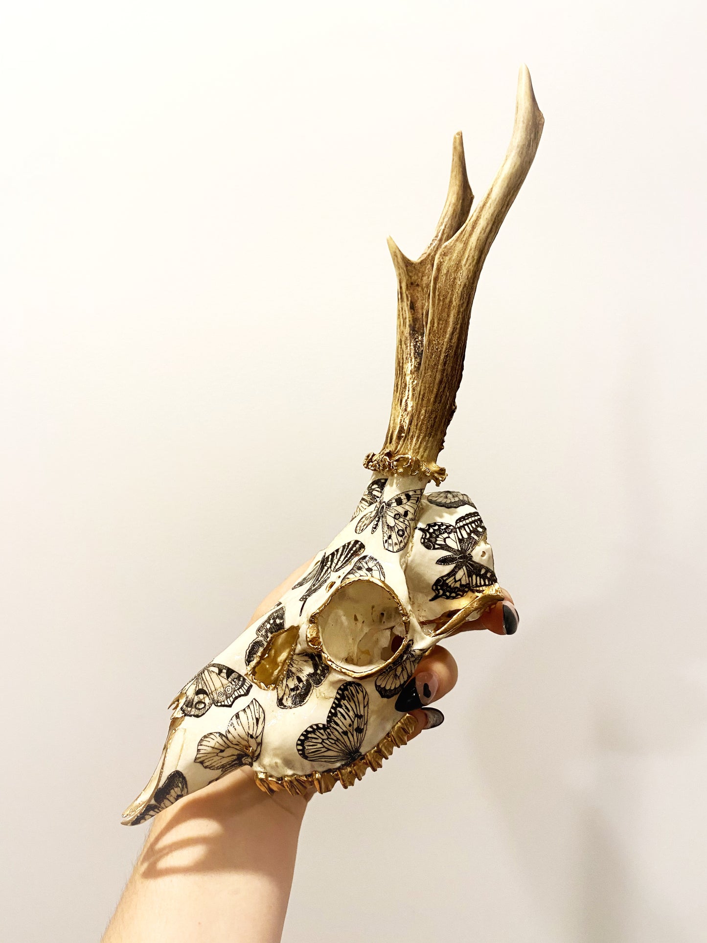 Entomology
